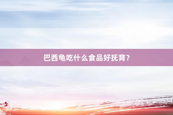 巴西龟吃什么食品好抚育?